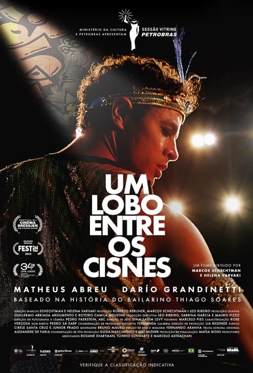 Um lobo entre os cisnes
