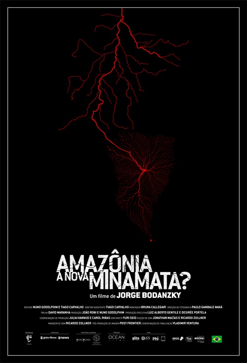 Amazônia, a Nova Minamata?