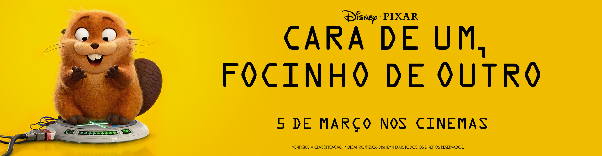 cara de um, focinho de outro